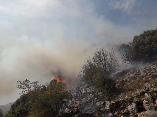 Zjarret në pyje — askush nuk po e vë ujin në zjarr!
