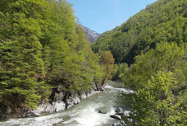 Aktivistët rumunë ndalojnë HEC-et në Parkun Kombëtar