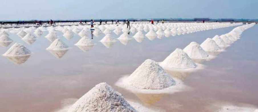 Ndotja mbërrin në tryezat tona, edhe kripës së detit nuk i zihet besë