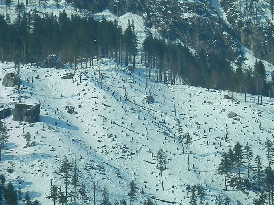 ELKTROSHOKU I GJELBERT ZOTIT E. RAMA