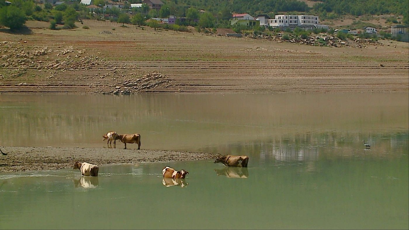 Klima po ndryshon, ne hiç