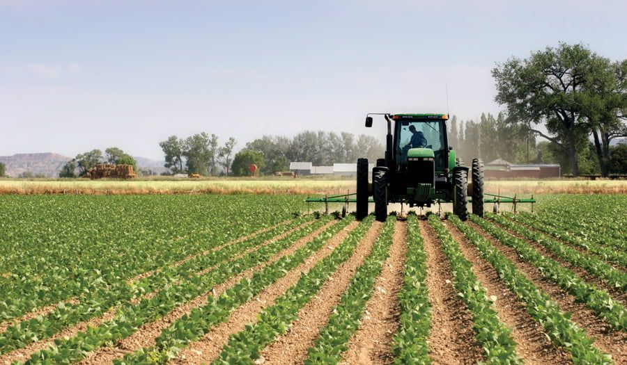 Më shumë nafte për fermerët – politikë e gabuar.