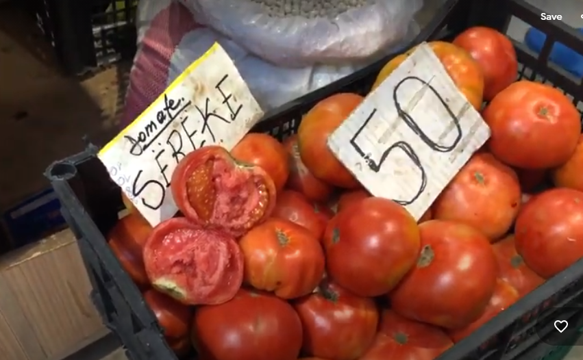 Ruajtja e farërave të vendit, një thirrje për t’ju përshtatur ndryshimeve klimatike.