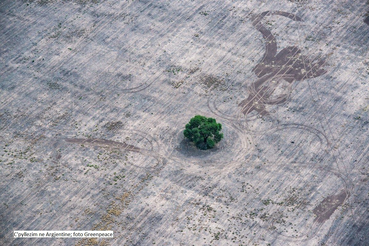 Shkencëtarët kryesorë paralajmërojnë për 'të ardhmen e kobshme' për planetin ndërsa udhëheqësit nënvlerësojnë kërcënimet ekologjike.