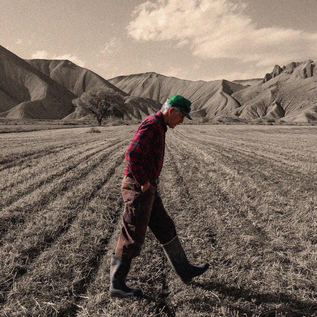 Këto janë të dhënat më të fundit për klimën dhe ushqimin dhe nuk janë të mira