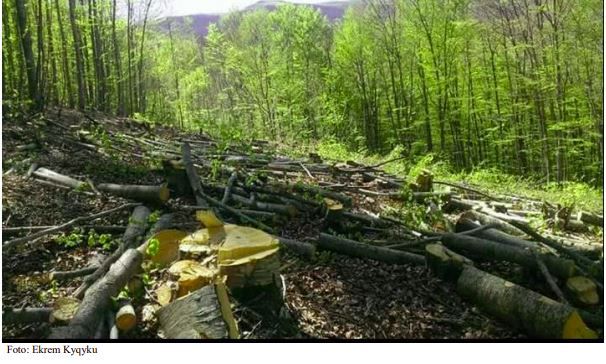 Degradimi i pyjeve në Kosovë