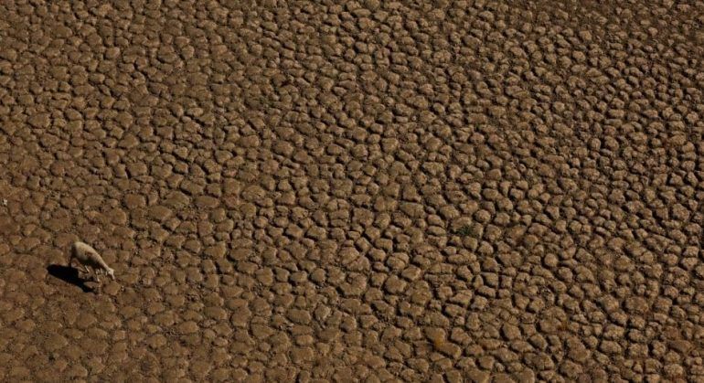 Bota shënon temperatura rekorde në tokë dhe dete, emetimet e karbonit arrijnë mbi 160 milionë tonë metrikë.