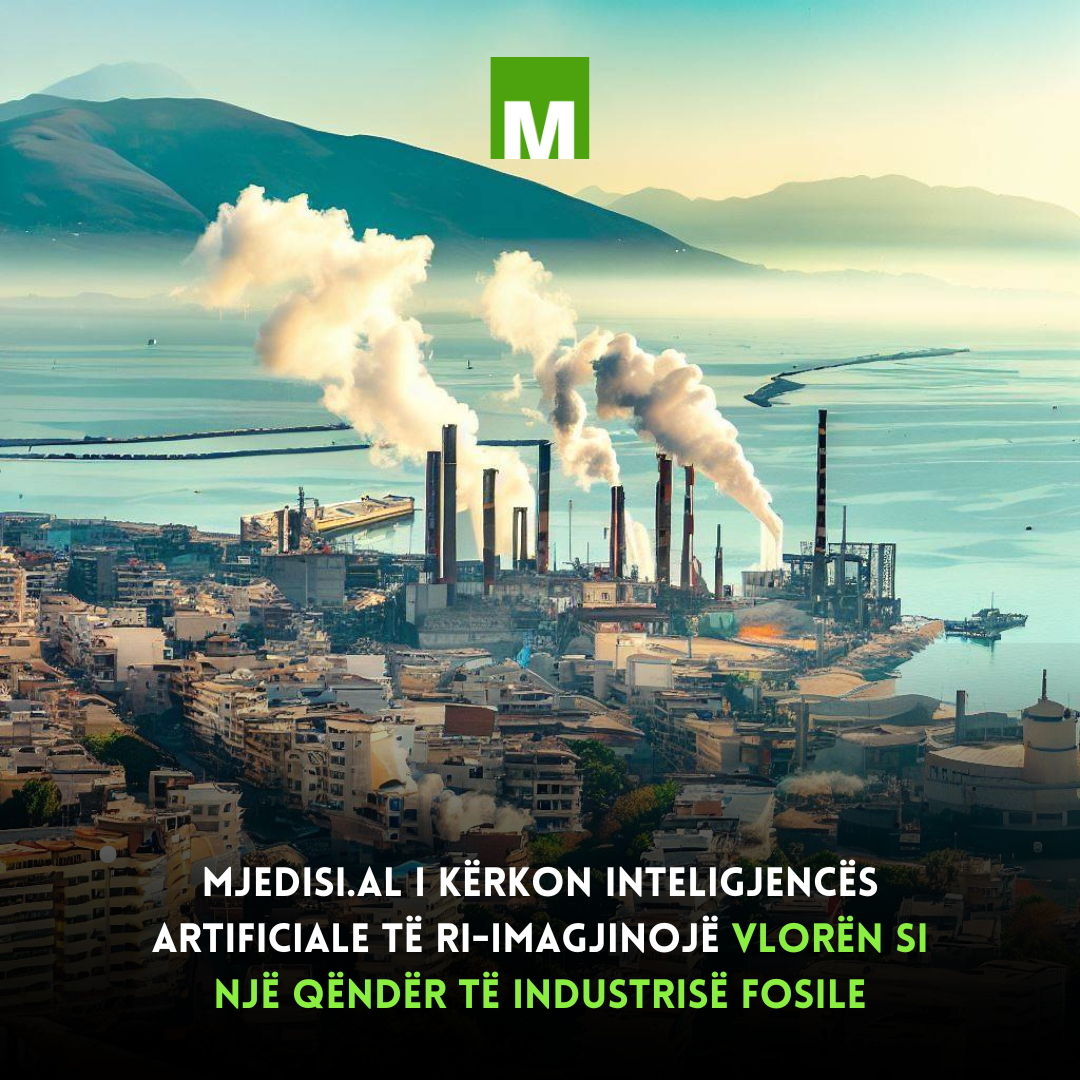 Gazifikimi vjedhje më e madhe se incenerimi.