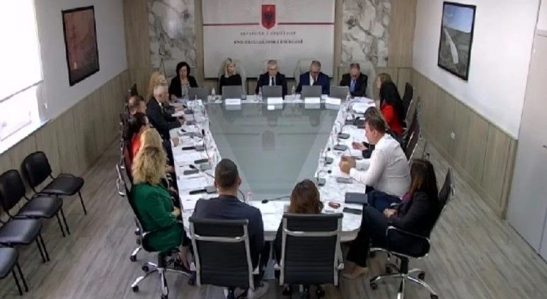 Opinion për TEC Roskovec