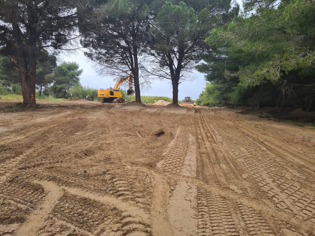 Përgënjeshtrim i deklaratës së Kryeministrit për Zvërnecin,
Qëndrimi i organizatave mjedisore në Shqipëri