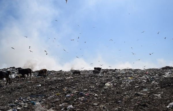 “Bomba me sahat” e mbeturinave në Porto-Romano (Video)