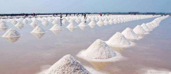 Ndotja mbërrin në tryezat tona, edhe kripës së detit nuk i zihet besë