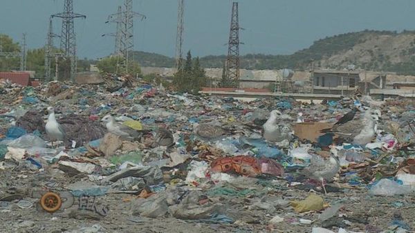 Plehrat helmojnë qytetet. Vendet kthehen në “ferma” derrash, lopësh e delesh