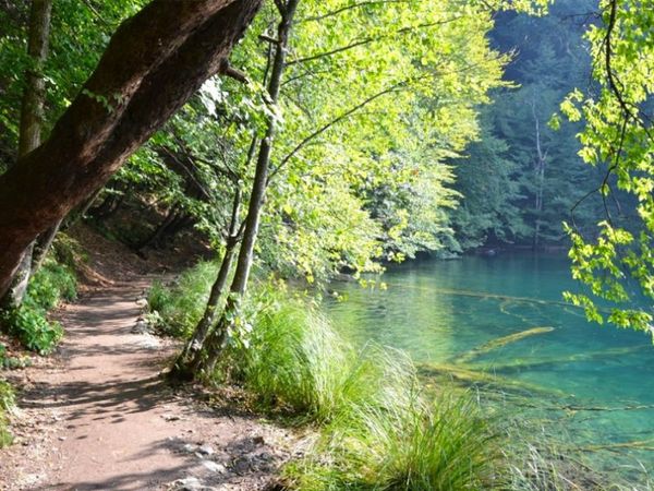 Lumi i Gashit në Tropojë dhe Rrajca në Përrenjas me pyjet e vjetër të Ahut janë përfshirë në Listën e Trashëgimisë Botërore të UNESCO-s.