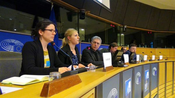 Sensibilitet i vecantë në Parlamentin Europian për HECet në Shqipëri.