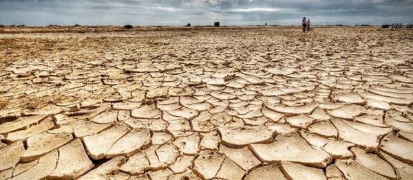 Skenar apokaliptik për Shqipërinë: Do kemi klimë sub-tropikale