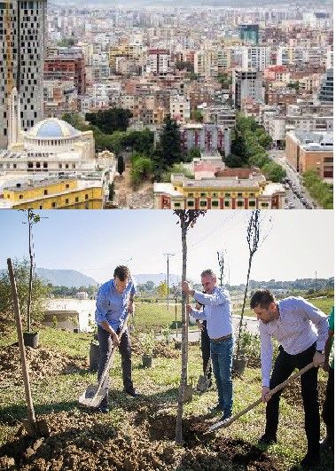 Pylli orbital si zbukurim i beton-pyllëzimit central