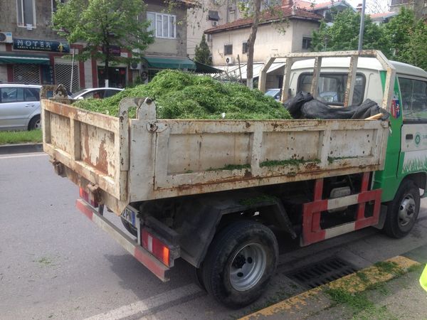 Punë e paqme me përfundim të keq (video)