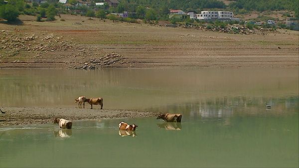 Klima po ndryshon, ne hiç