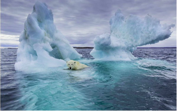 Viti 2020 mund të thyej rekordin e vitit 2016 si më i nxehti, që nga viti 1850.
