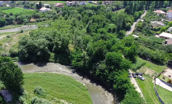 Pylli që nuk (do) pritet të Shtunën