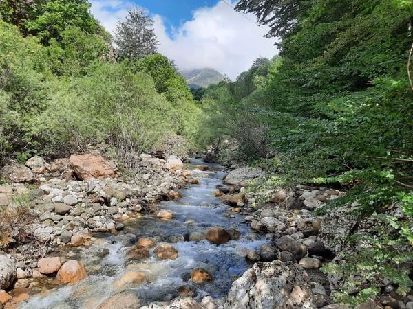 Vëmëndje për vendimet e Qeverisë në kohë zgjedhjesh; rasti Zall-Gjocaj