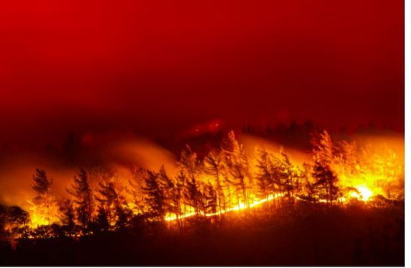 'Kod i kuq për njerëzimin': Ndryshimet klimatike u shkaktuan nga njeriu, s'ka më dyshime, akuzon OKB