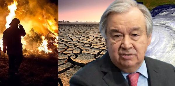 Bota po digjet, ndaj është koha për një revolucion të burimeve të rinovueshme