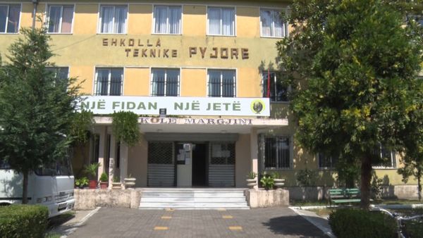 Profesionistë ka, por punë nuk ka.