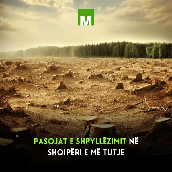 Efektet afat-shkurtër dhe afatgjata të shpyllëzimeve