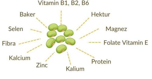 Fasulet e shëndetshme – vlerat ushqyese dhe përfitimet