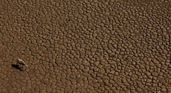 Bota shënon temperatura rekorde në tokë dhe dete, emetimet e karbonit arrijnë mbi 160 milionë tonë metrikë.