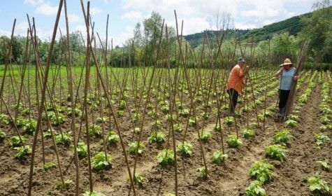 Shqipëria: Një mësim lokalizmi
