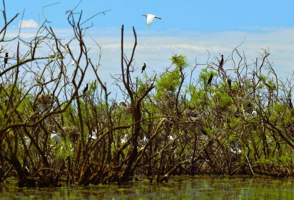 Parlamentarët sot po bëjnë gati "minat" për të shkallmuar portat e zonave të mbrojtura