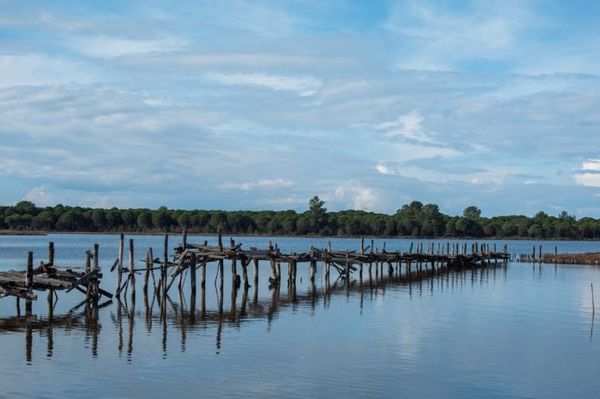 Pas presionit të shtuar socialistët tërhiqen nga drafti fillestar i zonave të mbrojtura