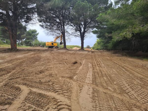 Përgënjeshtrim i deklaratës së Kryeministrit për Zvërnecin,
Qëndrimi i organizatave mjedisore në Shqipëri